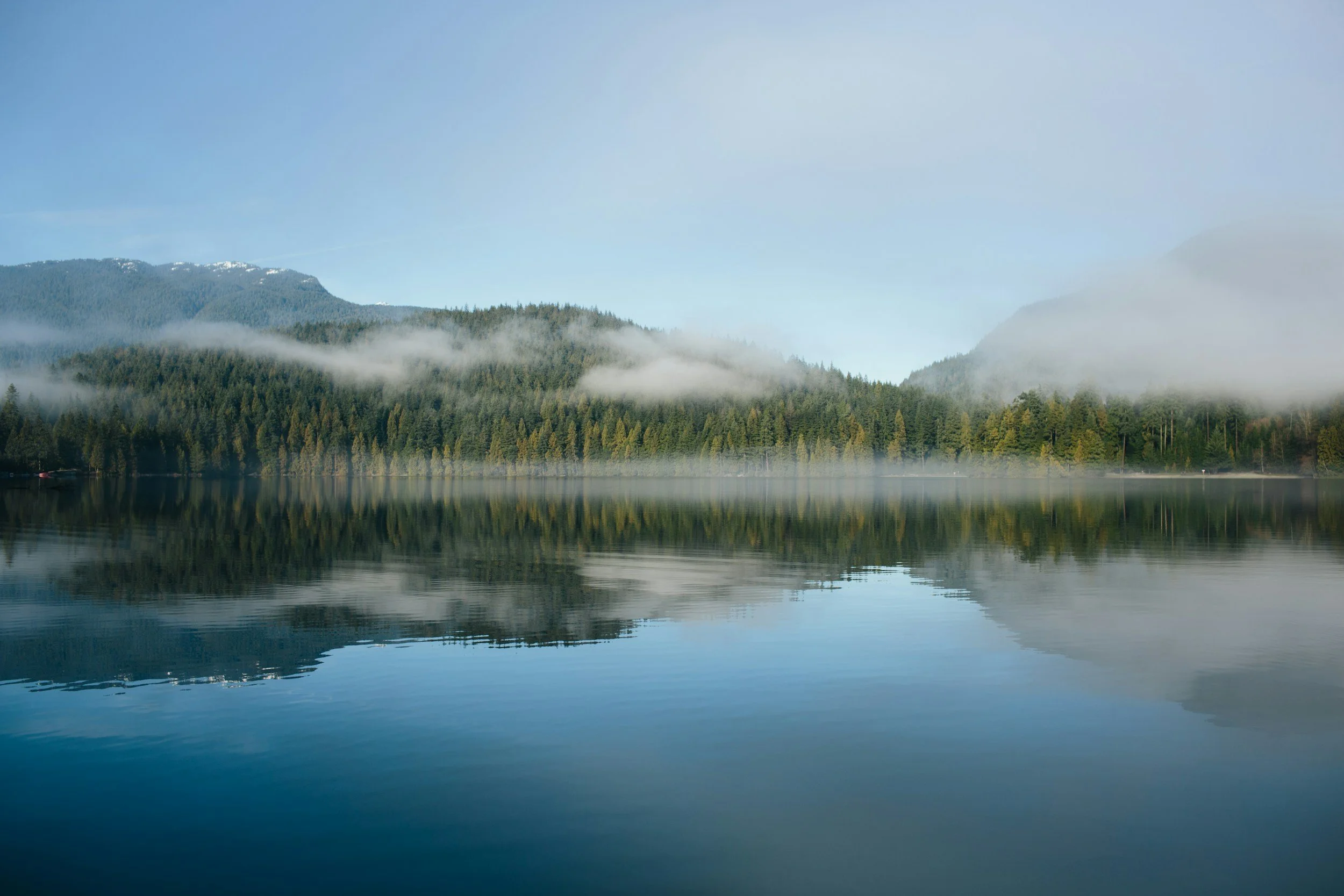 Quiet morning light